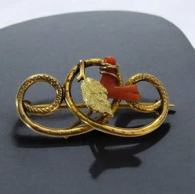 "Broche/pin vintage de coral marino rojo natural victoriano relleno de oro 1,25"" X 5/8""" Foto 1 de 3