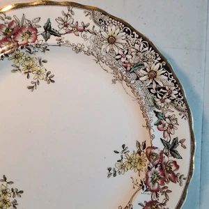 6× Stirling Keeling & Co Dinner Plate Flora 10 1/2" RIMMED, Riged Rare - Picture 1 of 10