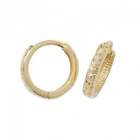 9ct Yellow Gold Hinged Dc Earrings ER088
