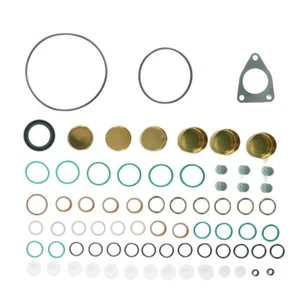 Diesel Oil Pump Repair Kit 2417010010 Euro II Sealing Gasket Overhaul Kit - Picture 1 of 10