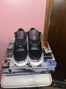 New Jordan retro 3 Animal Instinct 2.0 Men’s size 11 BNIB - Picture 1 of 5