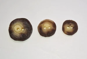 Imitation Wood & Bark Jagged Edge Horn Button - Brown Beige 25mm 23mm 15mm (s1) - Picture 1 of 3