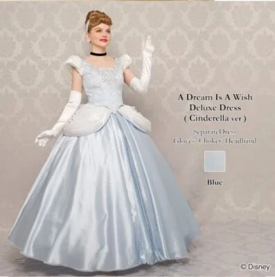 Disney Cenicienta Disfraz Vestido de Baile Vestido Mujer Secreto Miel Japón Foto 1 de 4