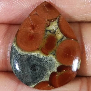 100% Natural PEANUT OBSIDIAN 21.35 Cts Pear Cabochon 23x30x4 mm Gemstone SL_260 - Picture 1 of 5