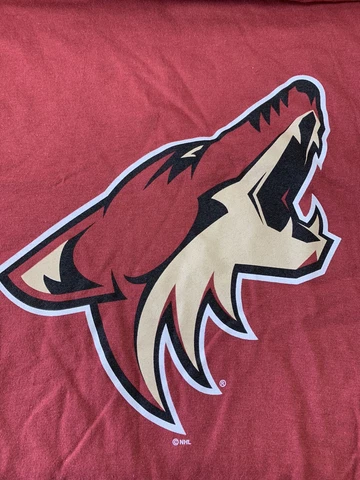 Fanatics Arizona Coyotes Hockey NHL Unisex T-Shirt Rust Size Large Cover
