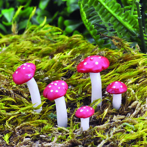Fairy Garden Toadstools and Mushrooms by Fiddlehead Miniature Fairy Gardens