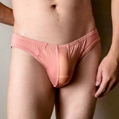 Para Hombres See-through Malla Bolsa Calzoncillos Slips Cómodos Modales Ropa Interior de tiro bajo Foto 1 de 4