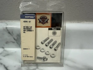 Genuine Harley Davidson Chrome Sprocket Bolt kit Socket Head  43245-07 NEW - Bild 1 von 8