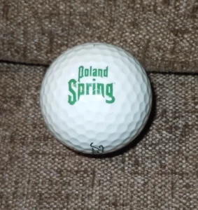 POLAND SPRING WATER GOLF BALL TITLEIST VINTAGE 2000'S - Picture 1 of 2