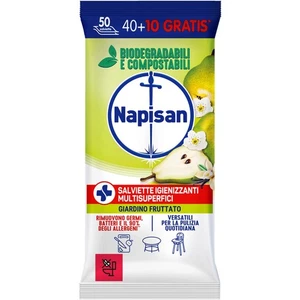 NAPISAN  napisan slaviette igienizzanrti  8002910068196 - Foto 1 di 1