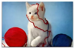 Cute White Kitten With Balls Of Yarn - Picture 1 of 2