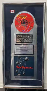PREMIO DE VENTAS CERTIFICADO CRIA FOO FIGHTERS El color y, 100K REGISTROS EMI de ventas - Imagen 1 de 10