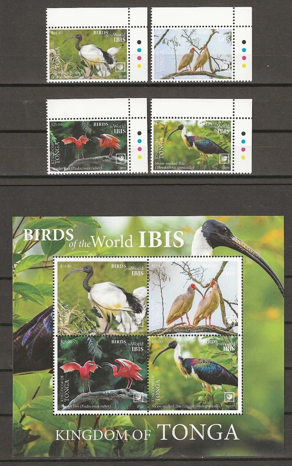 TONGA 2020 SG 1923/1926 + MS 1926a MNH - Image 1 of 1