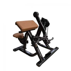 Life fitness Signature Series Ex-Demo Plate Loaded Bicep Curl - Picture 1 of 6
