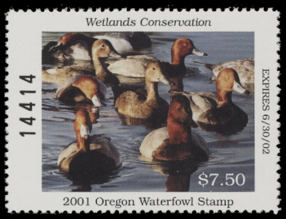 2001  Oregon State Duck Stamp Mint Never Hinged. Original Gum  - Image 1 of 1