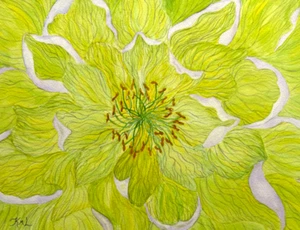 PAINTING WATERCOLOR 11X14 & MAT 16X20 FLOWER PEONY GREEN YELLOW ORIGINAL ART - Picture 1 of 2