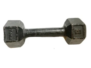 VTG 8 Pound SINGLE Cast Iron HEX Dumbbell Barbell Weight Gym Dumbbell Eight lb - Picture 1 of 9