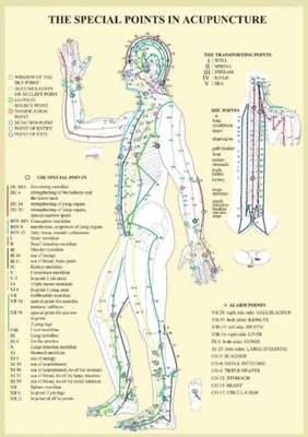 Special Points in Acupunture -- A4 by Jan van Baarle POSTER / WALLCHART - Image 1 of 2