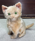 Steiff? Farnell? White Blonde Mohair Cat Green Eyes