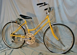 1969 Schwinn Collegiate Sport5 24" Kids Cruiser Bicycle XX-Small 41cm USA Made - Picture 1 of 13