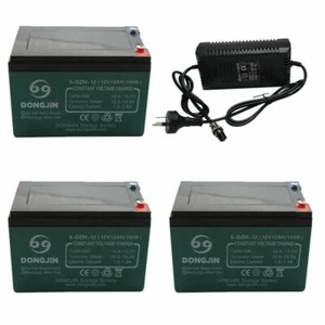 3x 12V 12AH 6-DZM-12 SLA Battery 36V Charger Electric Mobility Scooter E-BIKE - Picture 1 of 9