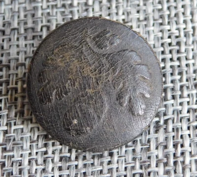 Antique Vtg  Pressed Horn Button Acorn Back Marked  Aprx: 7/8" #629-B - Image 1 of 4