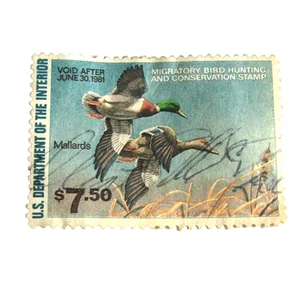 Mallards-1980 Federal Migratory Bird Hunting & Conservation Stamp Dept of Int - Picture 1 of 3