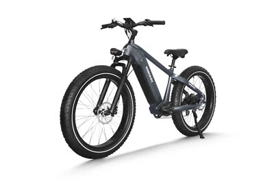 Himiway Zebra Premium Elektrisches All Terrain Fatbike 26x4 Zoll Grau