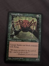 Canopy Spider MTG Tempest NM Magic Regular X1 Magic The Gathering