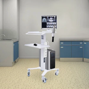 Adjustable Height Rolling Desk Computer Cart Mobile PC Laptop Workstation Table - Picture 1 of 16