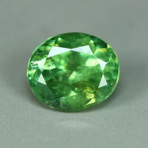 1.13 Cts_Great Horsetail Inclusion_100 % Natural Green Demantoid Garnet_Namibia - Picture 1 of 3