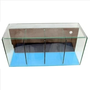 Petworx 4 Bay Fighter Tank For Betta and Fighting Fish - Picture 1 of 3