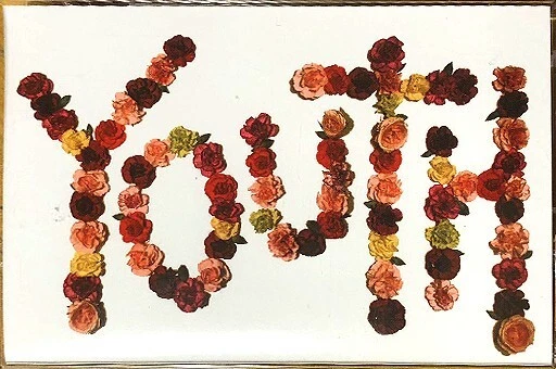 Citizen – Youth - CASSETTE TAPE - SEALED NEW EMO PUNK - Indie Rock - Great Foto 1 de 1