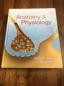 Anatomie und Physiologie - Bild 1 von 2
