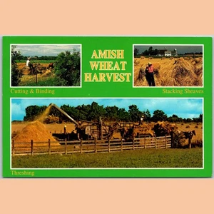 Postcard Amish Wheat Harvest Indiana Agriculture Scene Multi View - Picture 1 of 4