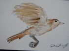 Original pen & ink and watercolour painting of a bird in flight on paper