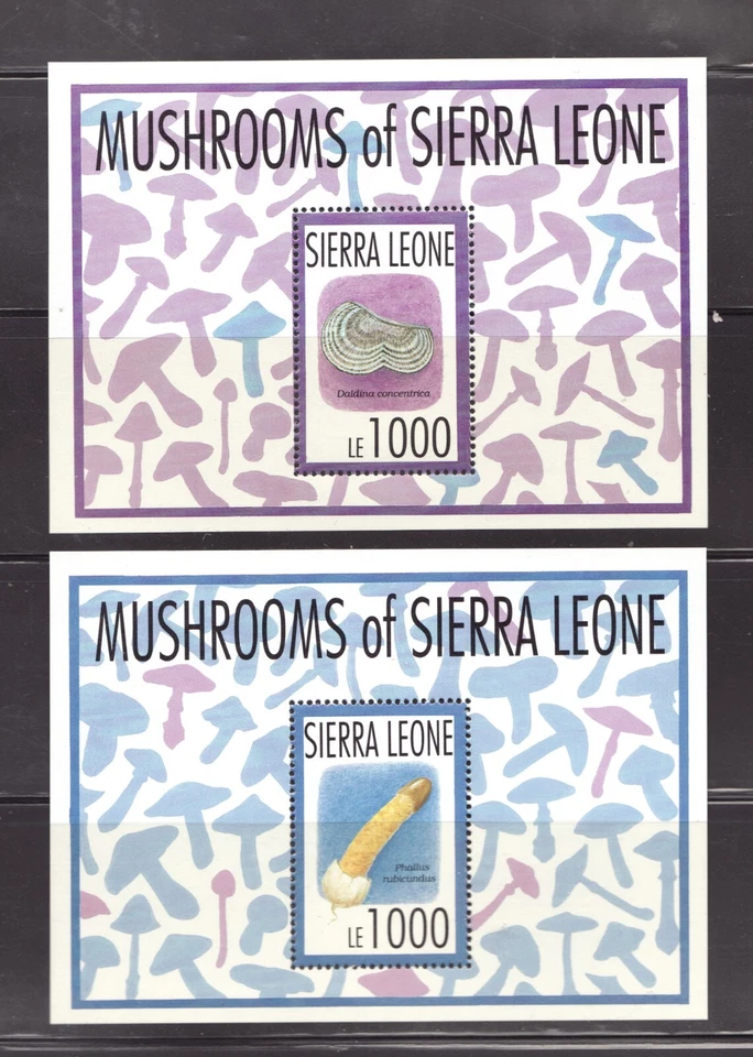 Sierra Leona Sc #1626-27 1993 hojas de recuerdo - setas CV$13 Foto 1 de 1