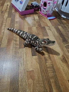 Alligator, Crocodile, Baby, Stuffed Plush Toy, Realistic,20" WR01 B260 No Tag - Picture 1 of 5