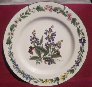 Vintage Royal Winchester Kräuter Salbei Salatteller 1990 England Top Zustand - Bild 1 von 6