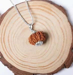 11 Mukhi Rudraksha Pendant | Nepali Rudraksha 925 Silver, Spiritual Jewelry - Picture 1 of 5
