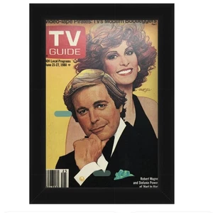 TV Guide Rahmen passend für TV Guide - Bild 1 von 1