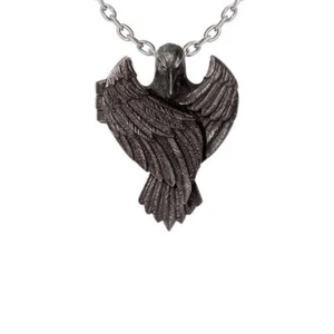 Collar Medallón Alquimia Gótica El Cuervo Augurium • Stock Local • Gótico - Imagen 1 de 2