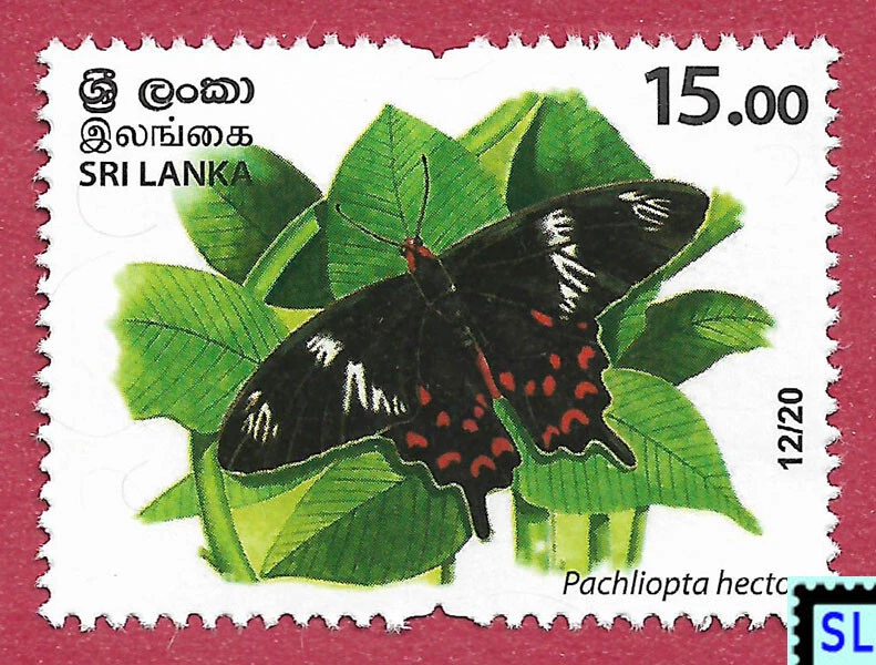 Sri Lanka Stamps 2020, Wild Species Threatened, Butterfly, MNH - Image 1 of 1