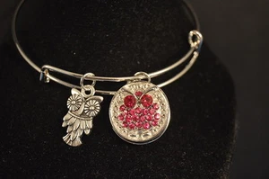 OWL + OWL Wire NOOSA CHARM BRACELET Brand New! Jewelry USA SELLER snap button - Picture 1 of 7