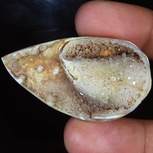 117.05 Cts Natural Fossil Snail Druzy , Fossil Snail Gemstone 25x45x20 mm WR496 - Picture 1 of 7