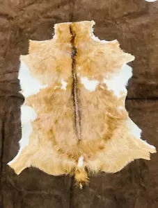 Goat Hide Pelt, Nordic Taxidermy, Spotted Natural Fur, Scandinavian Rug, 3x2 ft - Picture 1 of 9