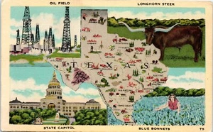 1940s TX Postcard Oil Field Longhorn Steer State Capitol Blue Bonnets Multi-View - Picture 1 of 2