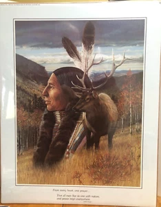 Vintage Bull Elk Indian Chief Prayer Picture Julie Kramer Cole 16 x 20 - Picture 1 of 1