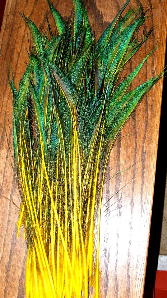 100 Plumas Espada Pavo Real 15-25" VÁSTAGO TEÑIDO 11 colores disponibles Foto 1 de 1