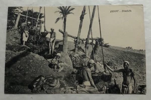Egypt - Shadufs. Postcard (X2) - Picture 1 of 2